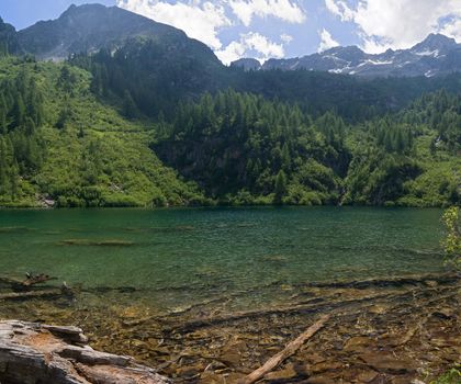landscape of Barco lake in Trentino, Italy with the characteristic trunk under the water