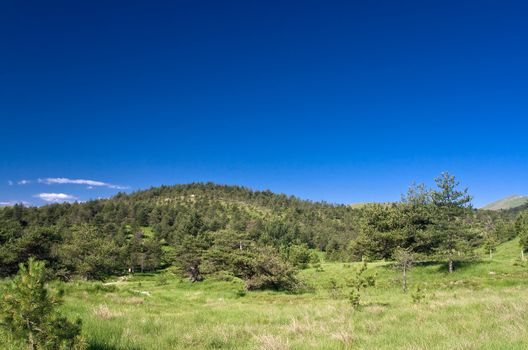 Beautiful hills in Liguria, Italy near Genova under a bright blue sky. photo taken with polarizer filter