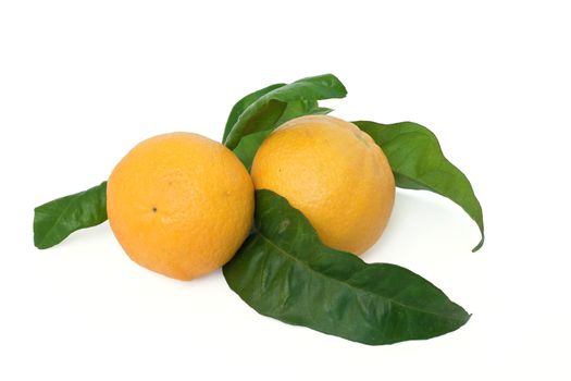 two oranges with leaves isolated on white background