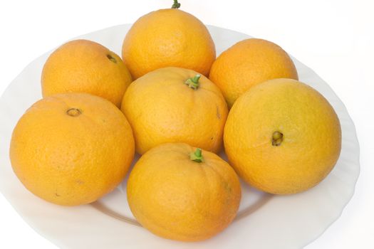 a group of ripe oranges on a white plate isolated on white background