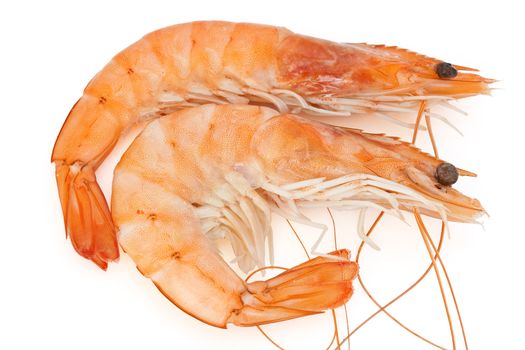 two fresh shrimps isolated on white background