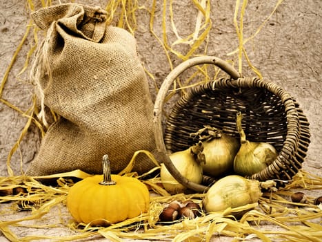still life with pumpkin, basket, onion and nuts against beige background