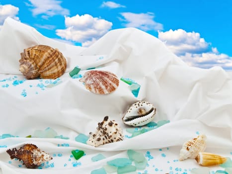 marine decor with sea shells and decorative stones against blue sky