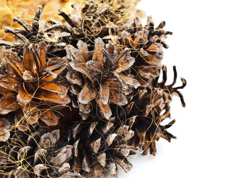 part of handmade garland from pine tree cones against the white background