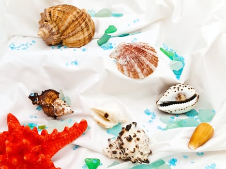 marine decor with sea shells, decorative stones and red starfish at white 