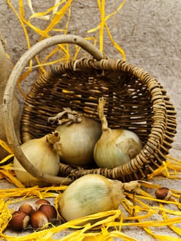 still life with basket, onion and nuts against beige background 