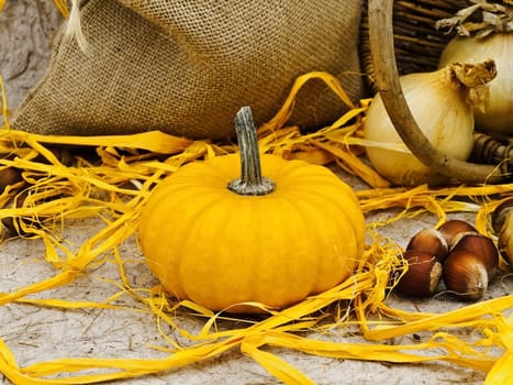 still life with pumpkin, basket, onion and nuts at beige  