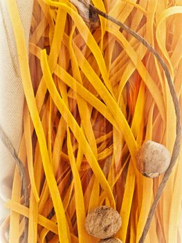 chili pasta decorated with nutmegs and cord under glass