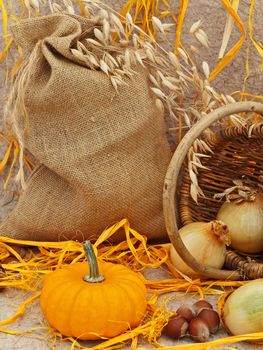 still life with pumpkin, basket, onion, oats and nuts at beige