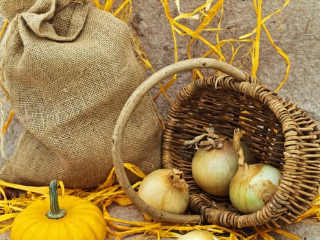 still life with pumpkin, basket, onion and nuts against beige background