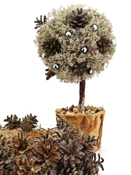 Handmade decoration tree from pine tree and cones against the white background