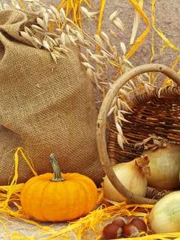 still life with pumpkin, basket, onion and nuts against beige background