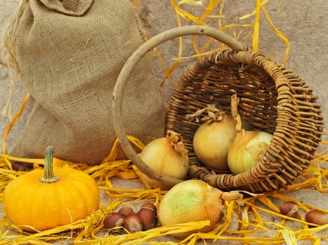  still life with pumpkin, onion in basket and nuts against beige background  