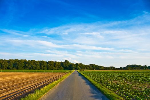 Country road and blue sky, with copyspace
