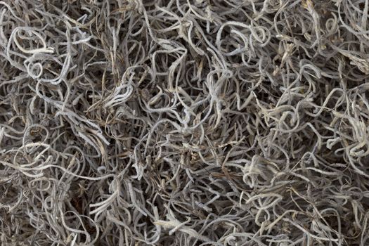 Spanish moss background - a decorative soil cover for retaining moisture and preventing weed growth