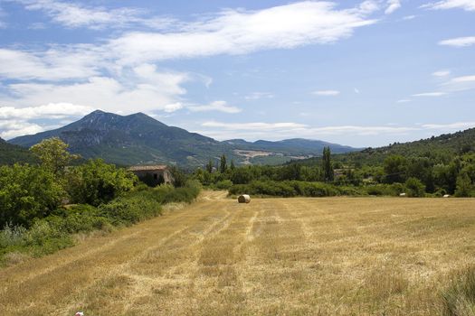 Landscape in Provence