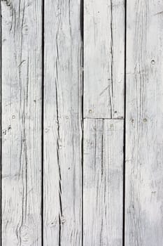 the background of weathered white painted wood