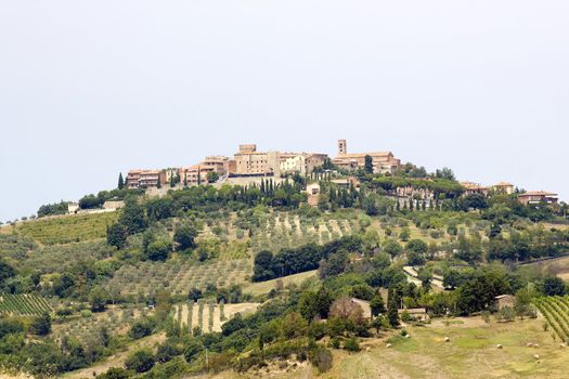 The ancient village and the vineyards 