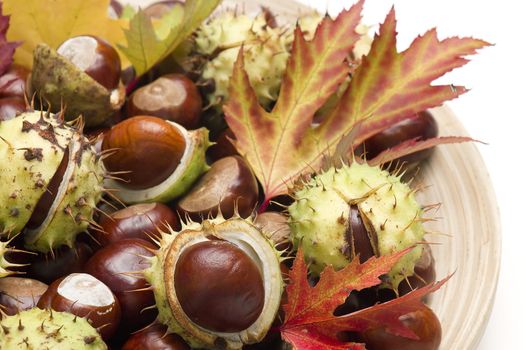chestnuts and autumn leaves