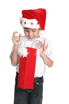A delighted young boy looks inside a gift bag
