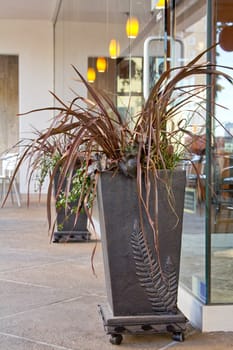 Two flower pots with artificial flowers in a modern urban setting