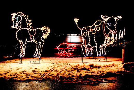 the holiday light display at a local zoo