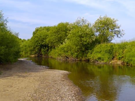 Summer landscape on bank of the small river