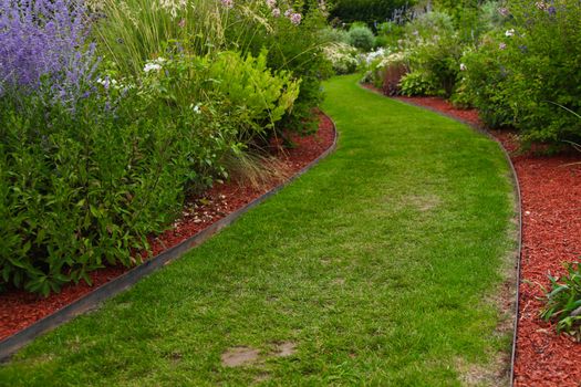 A green grass path in a garden