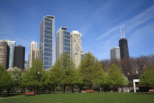 Buildings of Chicago rise from a city park