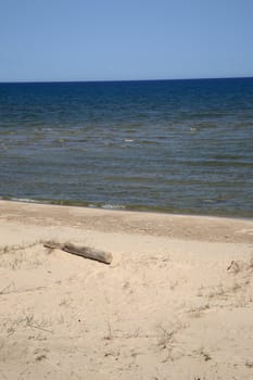 Driftwood and beach at the Michigan shoreline of Great Lake