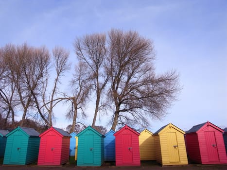 Beach huts under trees in the sun.