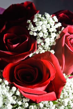 Red roses have been a universal symbol of romance, passion and most importantly true love for centuries already