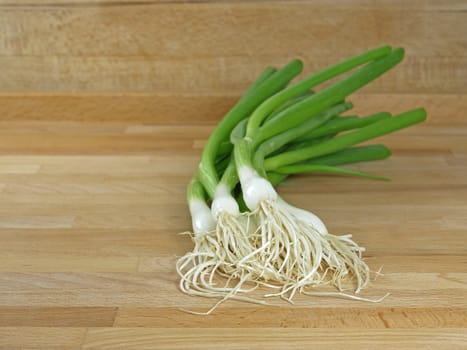 fresh and green spring onions on cutting board