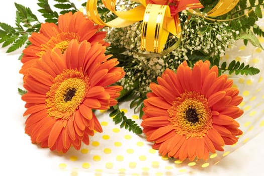 Bouquet of gerbera flowers isolated on white