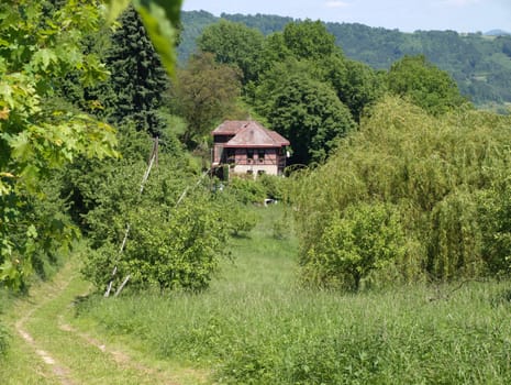 the house in the middle of green