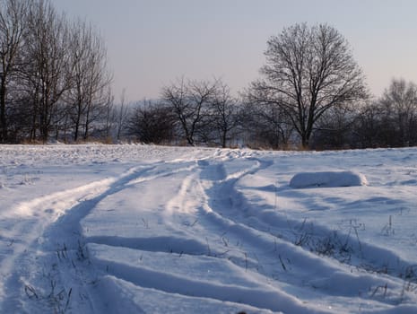 the shadows in winter way
