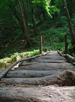 Wooden brige