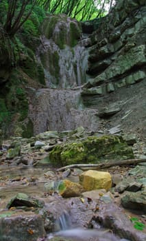 Waterfall in forest