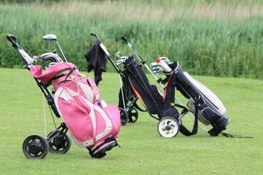 A group of golfbags with clubs on the green