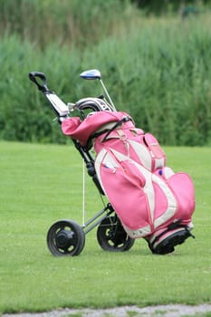 A pink golfbag with clubs, left on the green