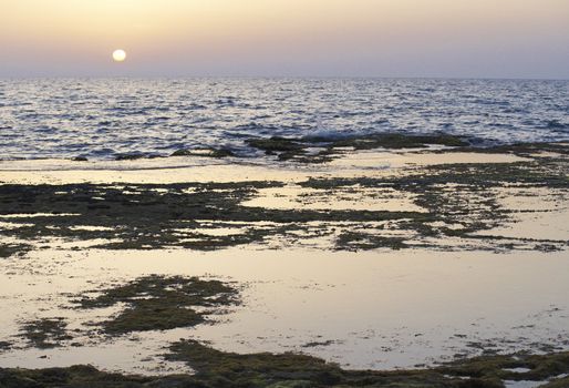 Sunset at Sea. Small waves. Stones overgrown with moss.