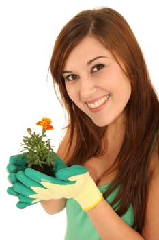 Gorgeous young brunette lady with seedling in her gloved hands