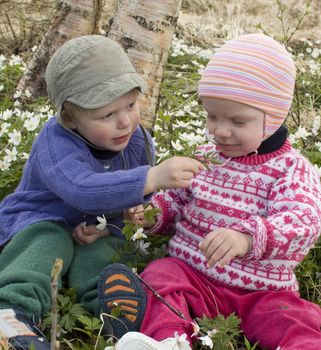 Boy picking flowers for his little girlfriend