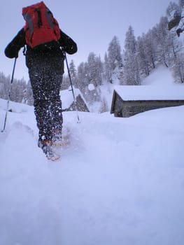 climbing cazzola peak with snowshoes