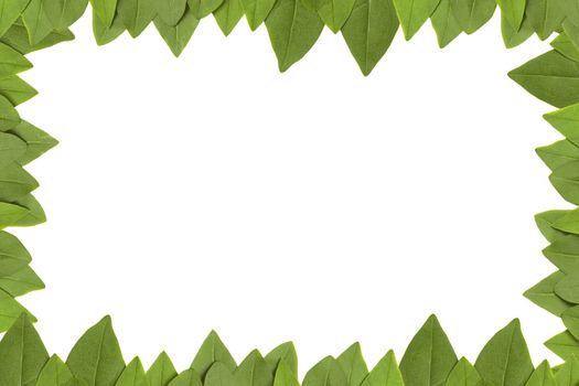 green leaves frame with white background with copy space