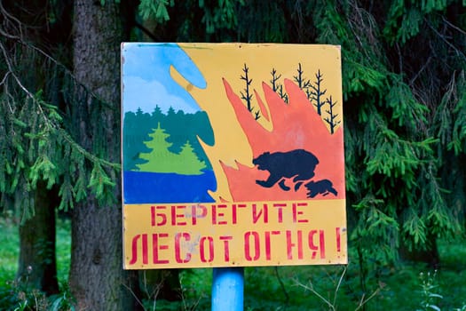 take care of the forest from fire