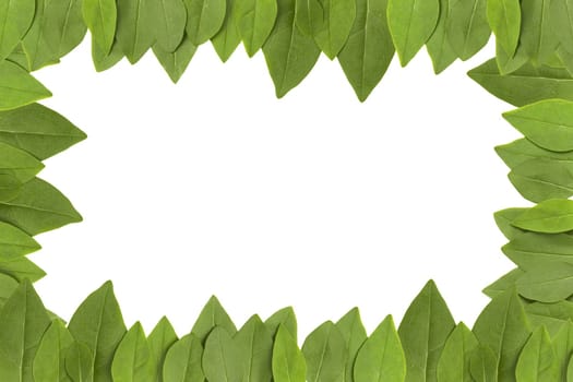green leaves frame with white background with copy space