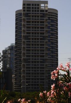 Roof of the buildings at Tel-Aviv .
