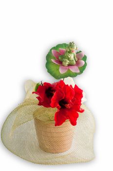 Flower pot with red colors and a toy frog in gift wrap on a white background.