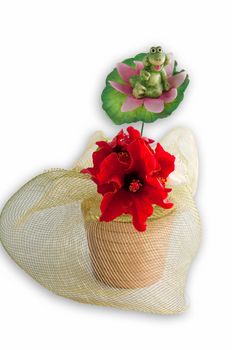 Flower pot with red colors and a toy frog in gift wrap on a white background.
